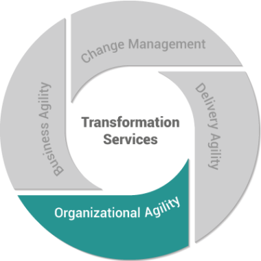 Organizational Agility